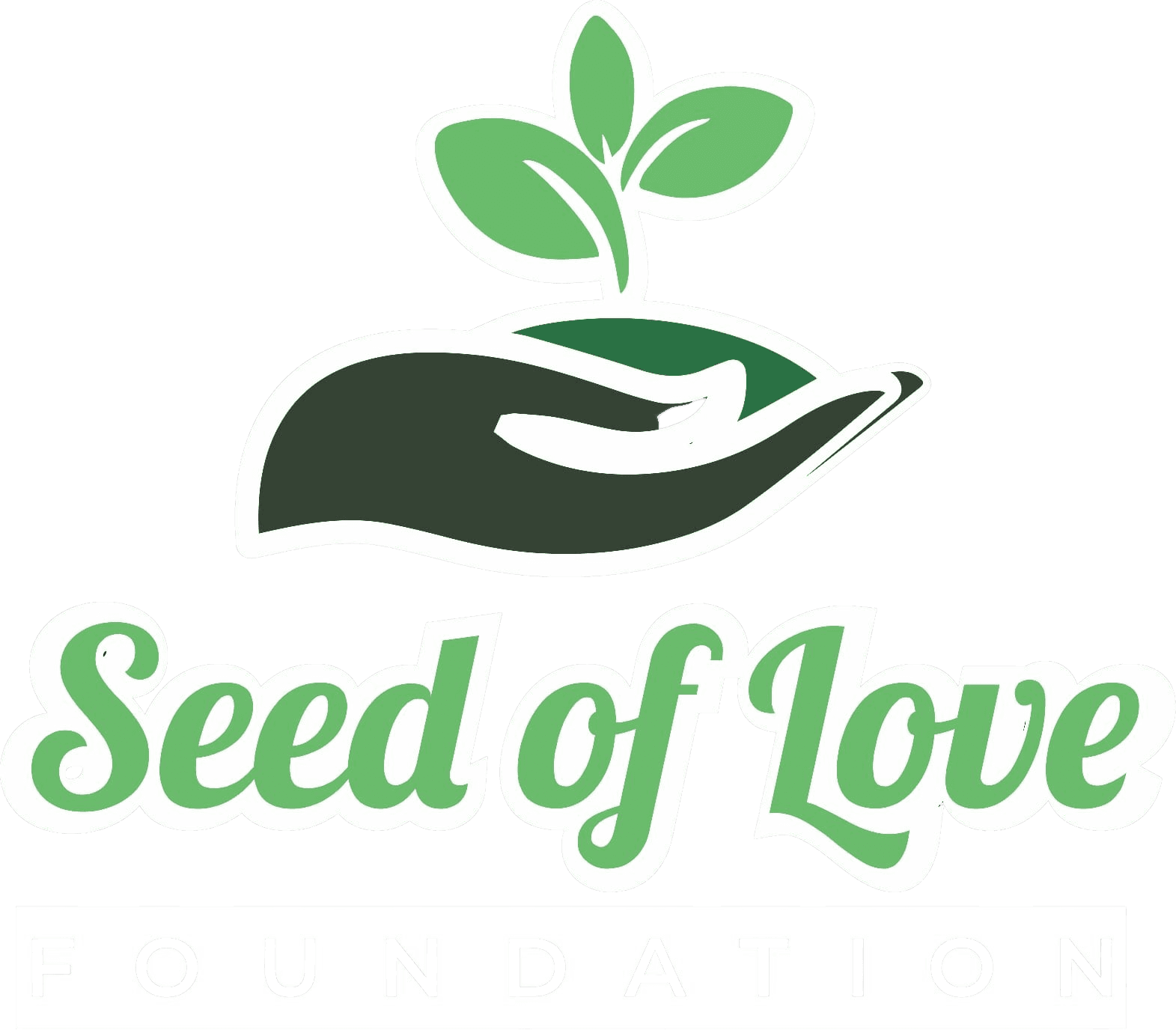 foundation