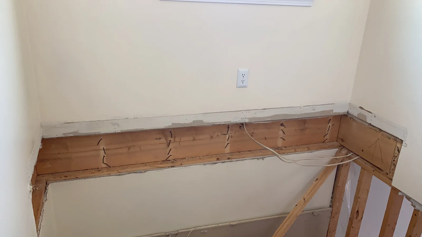Whole Home Remodel